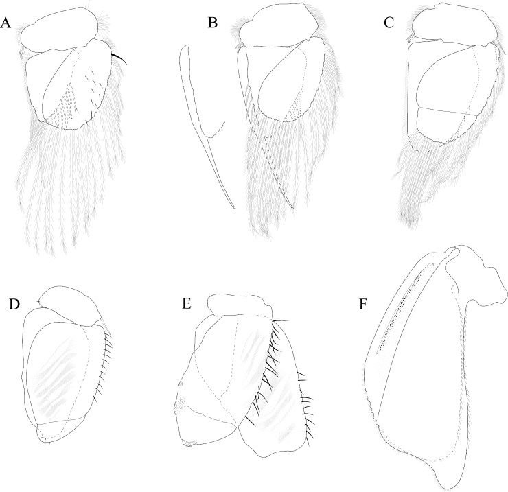 Figure 16.