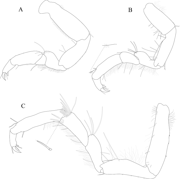 Figure 15.