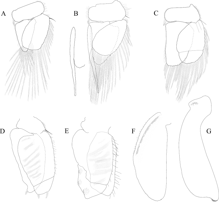 Figure 20.