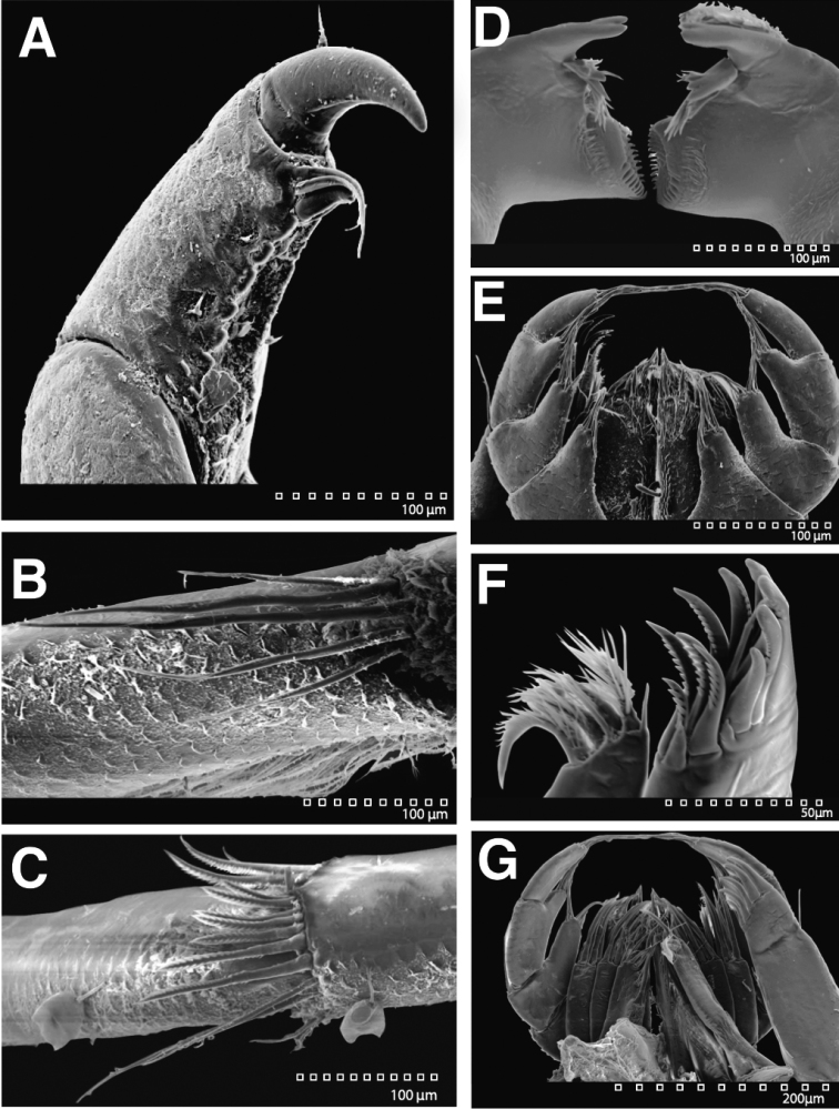 Figure 27.