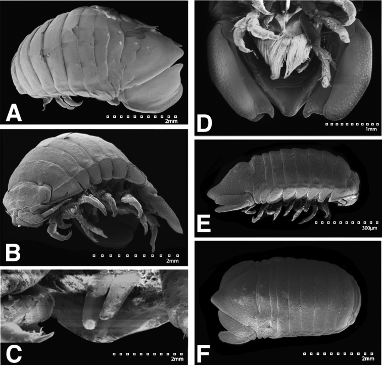 Figure 22.