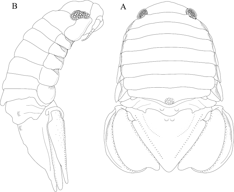 Figure 9.