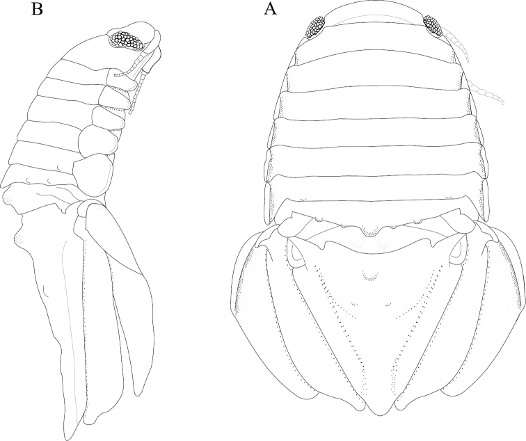 Figure 17.