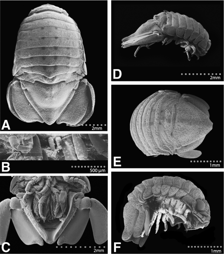 Figure 23.