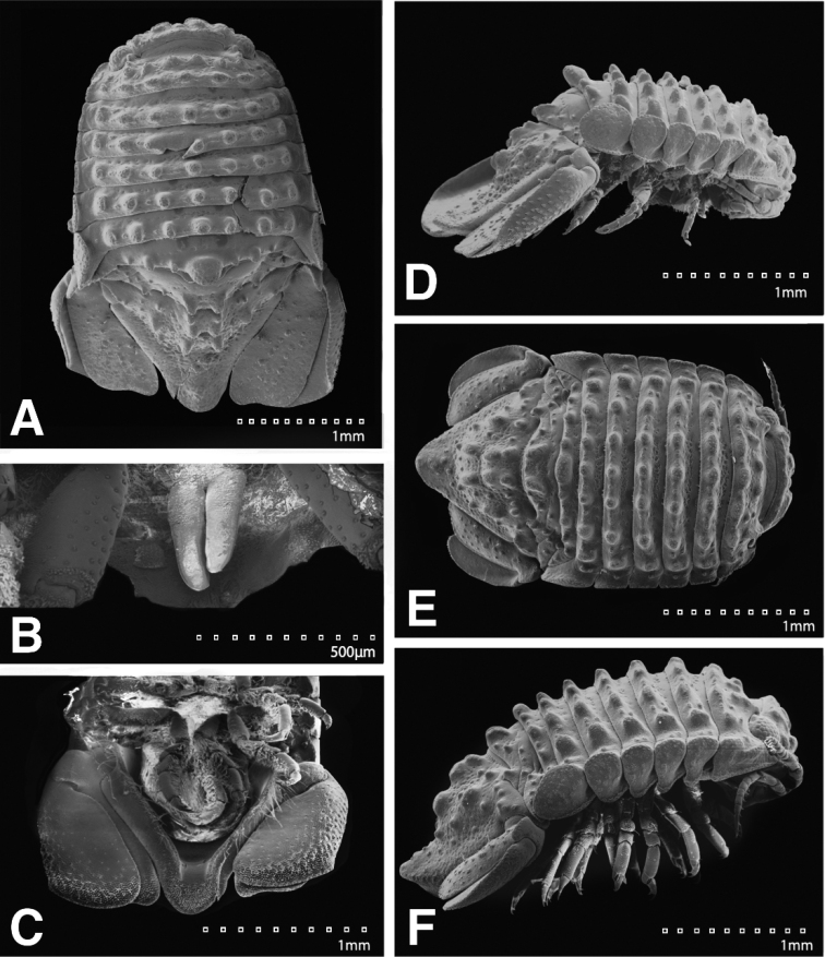 Figure 24.