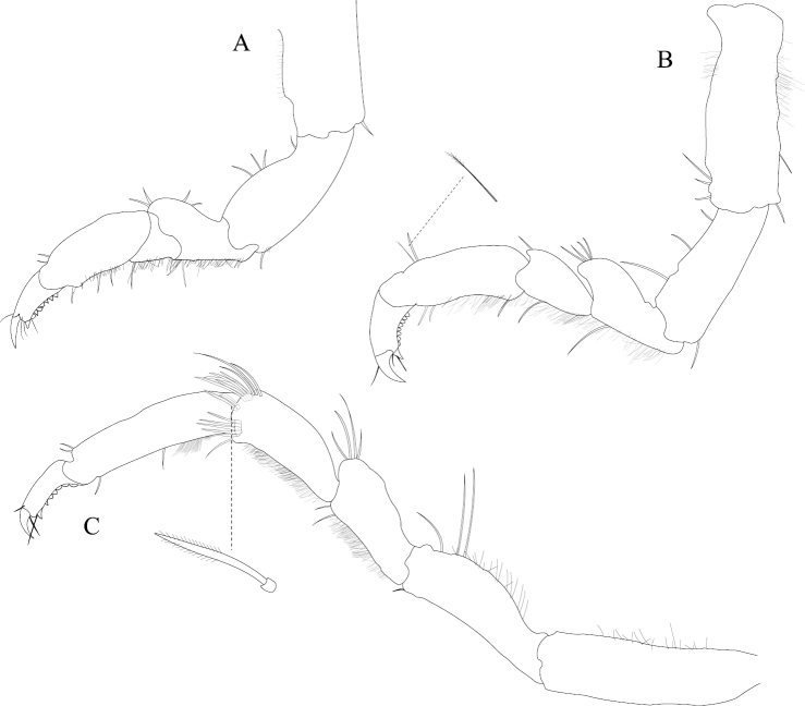 Figure 3.