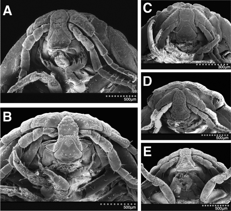 Figure 28.