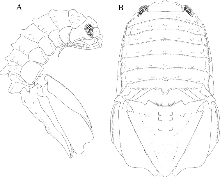 Figure 13.