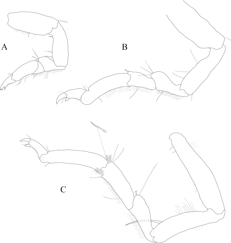 Figure 19.