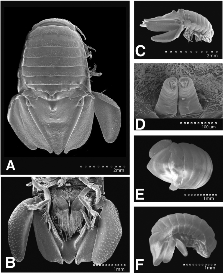 Figure 25.