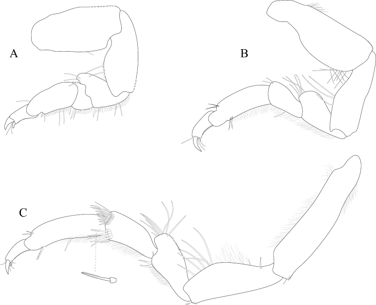 Figure 7.