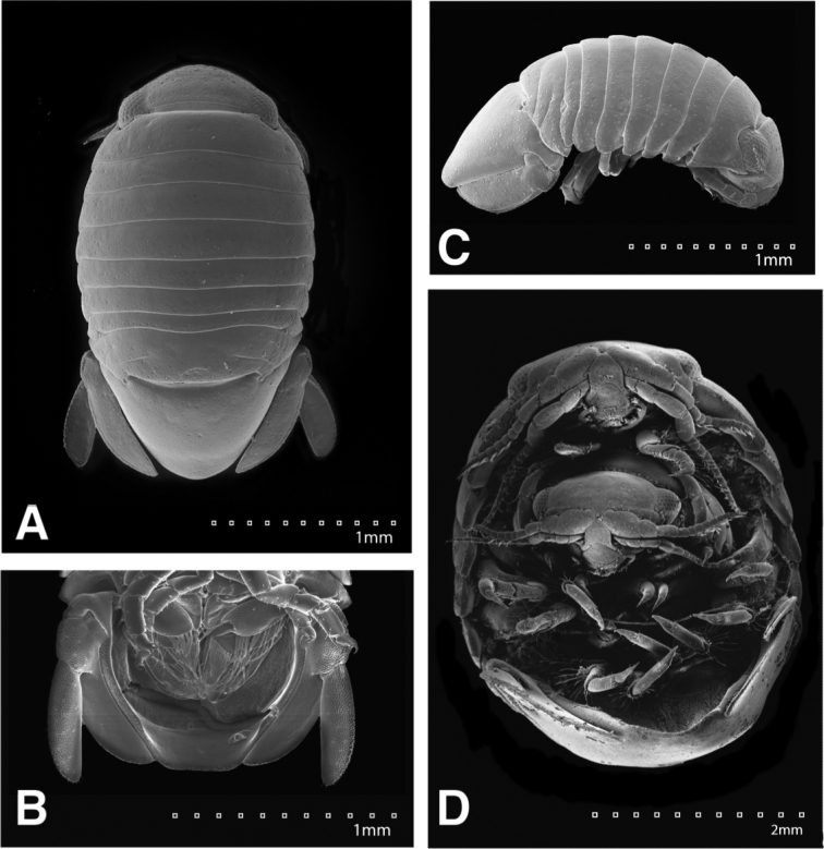 Figure 26.