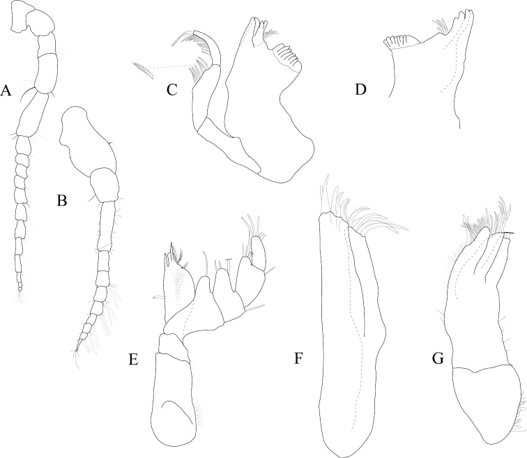 Figure 18.