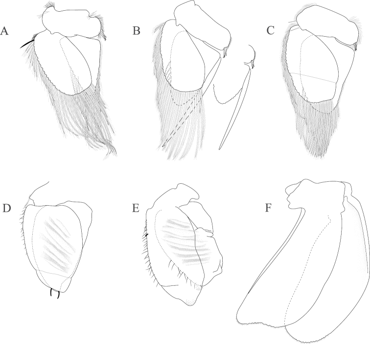 Figure 8.