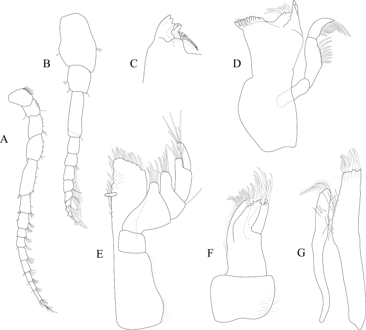 Figure 14.