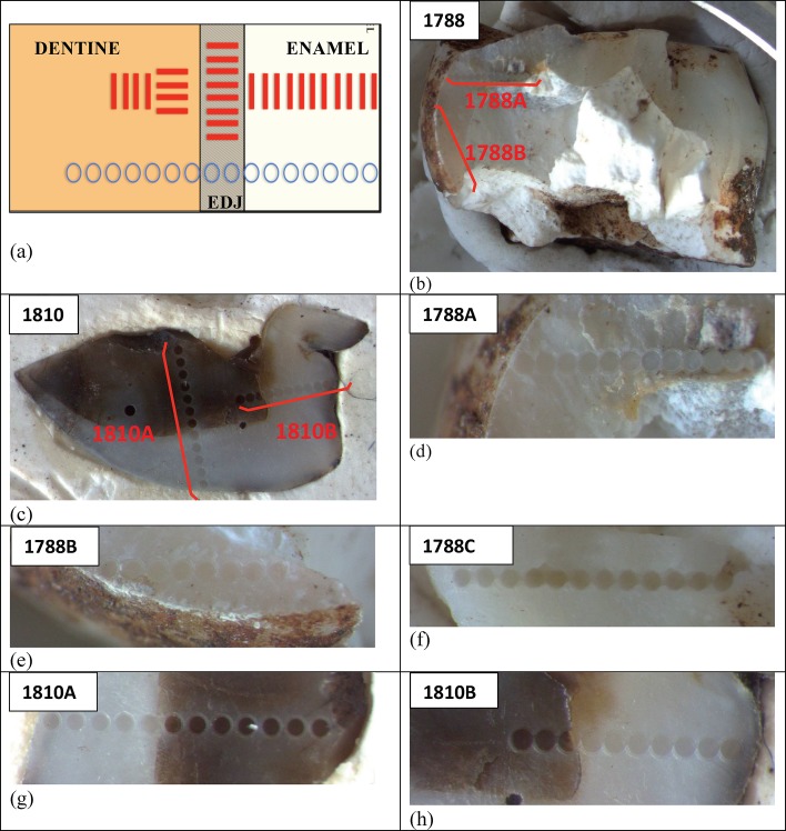 Figure 9.