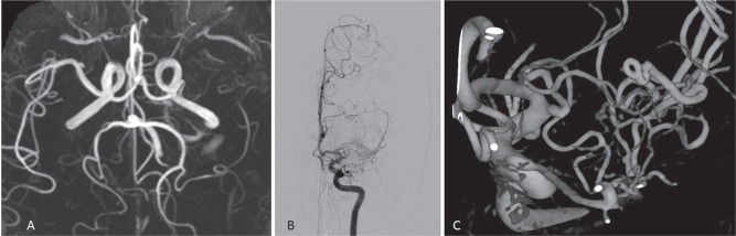 Fig. 4