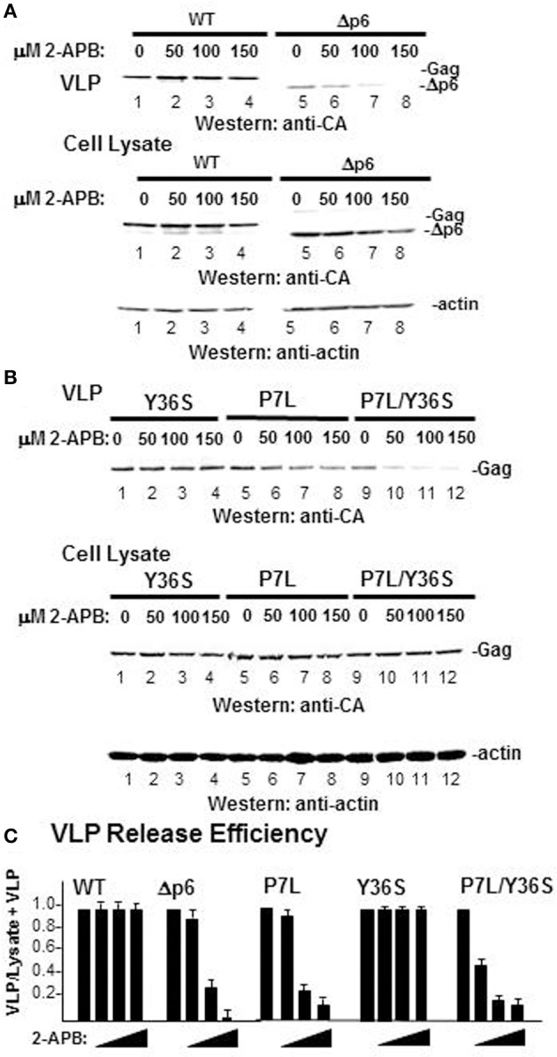 Figure 10