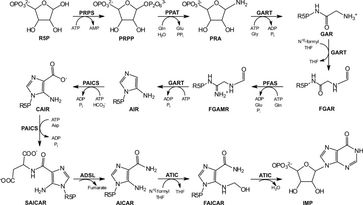 Fig 1