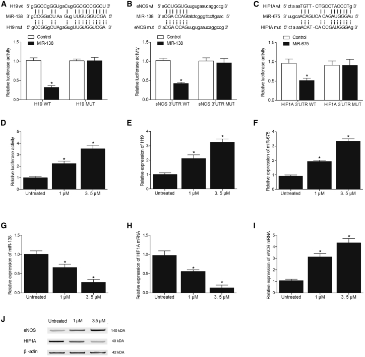 Figure 6