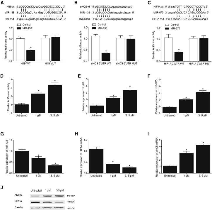 Figure 7