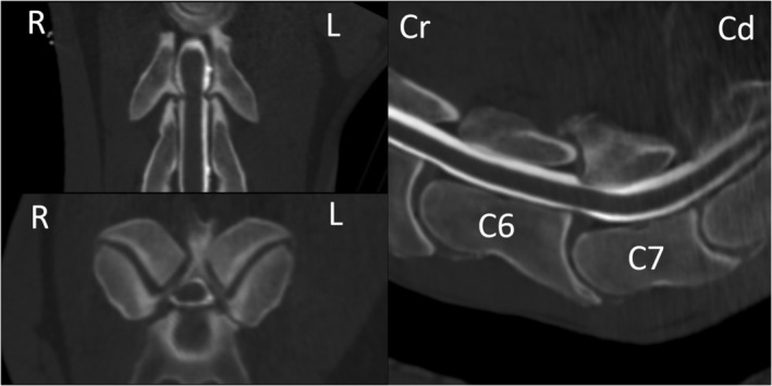 FIGURE 4