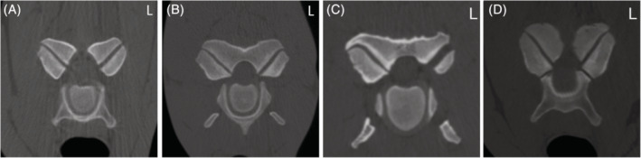 FIGURE 2