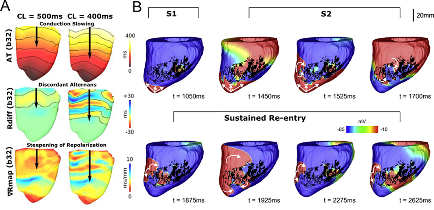 FIG. 2.