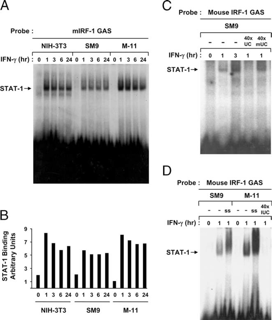 FIGURE 6