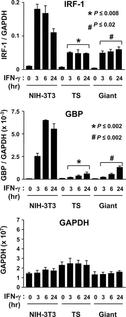 FIGURE 3