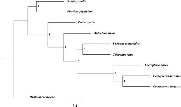 FIGURE 5