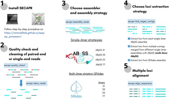 FIGURE 1