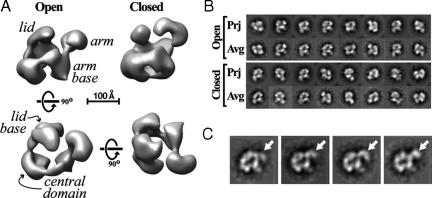 Fig. 2.