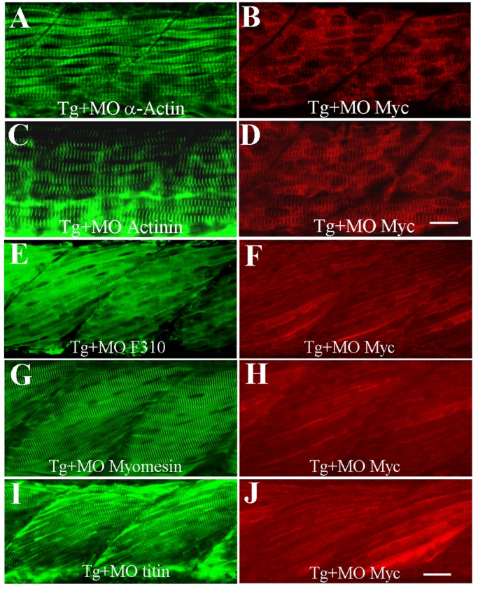 FIGURE 3: