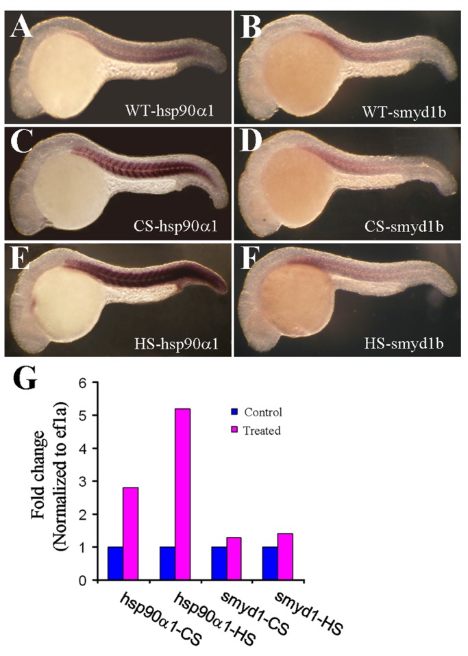 FIGURE 6: