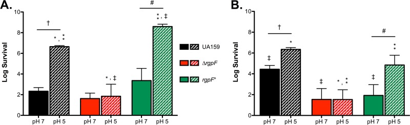 FIG 3