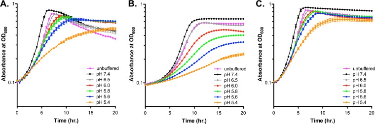 FIG 2