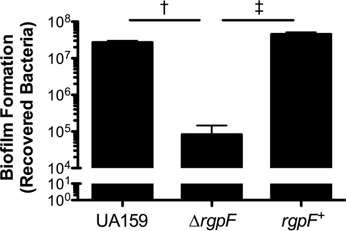 FIG 6