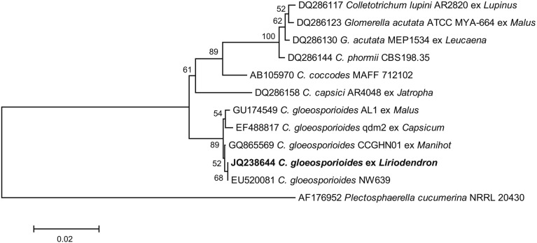 Fig. 2