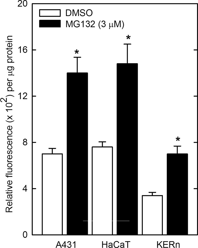 FIGURE 11.