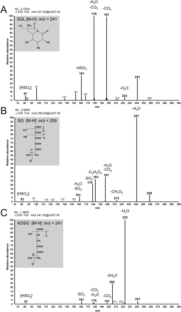 Fig. S1.