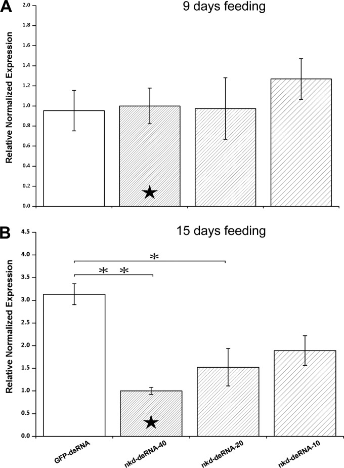 FIG 3