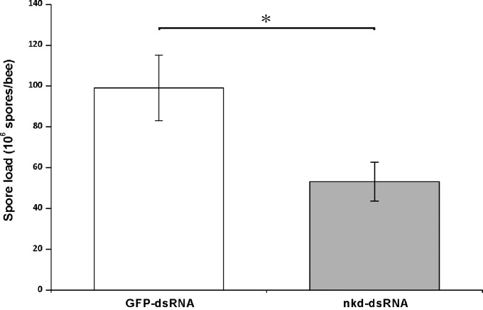 FIG 5