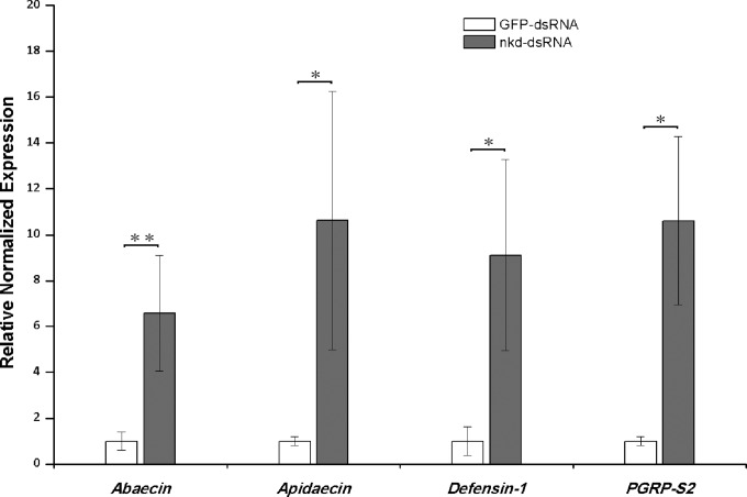 FIG 4