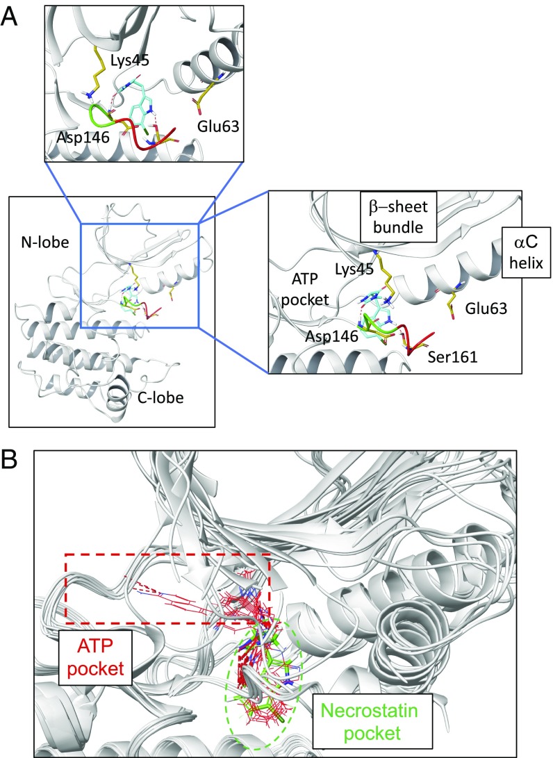 Fig. 2.