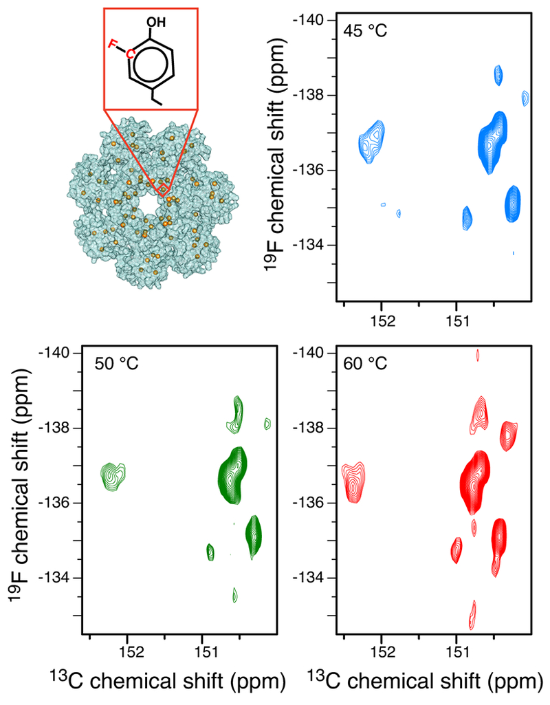 Figure 5: