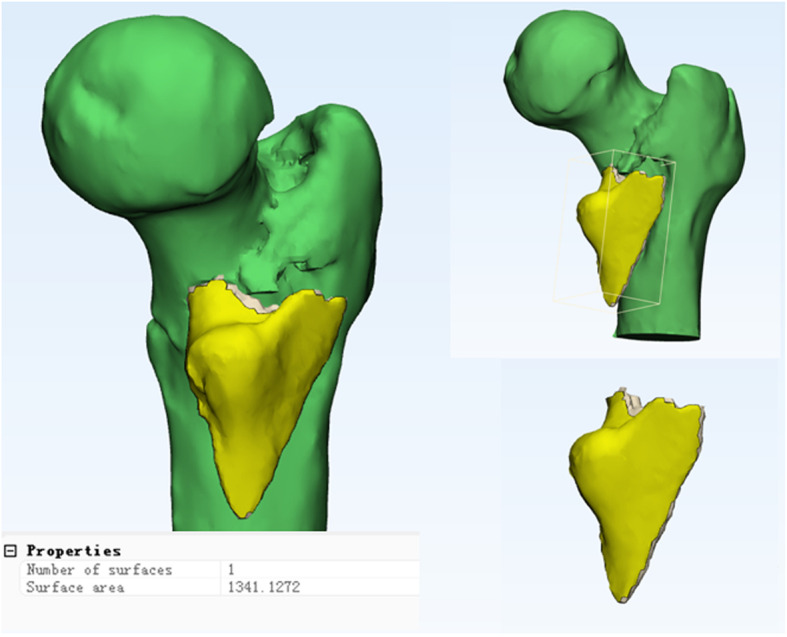 Fig. 2