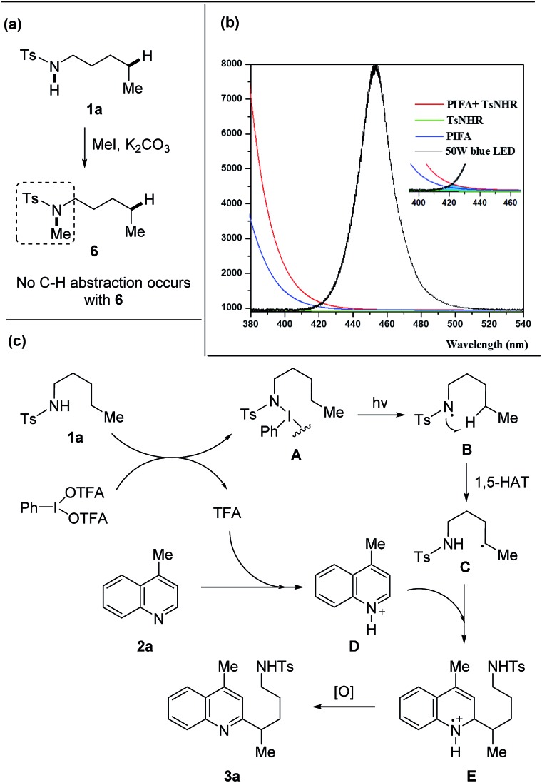 Scheme 6