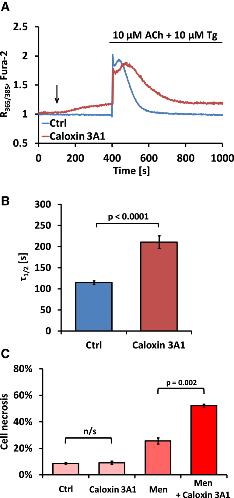 Figure 4