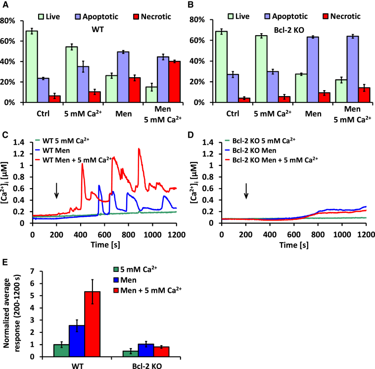 Figure 3